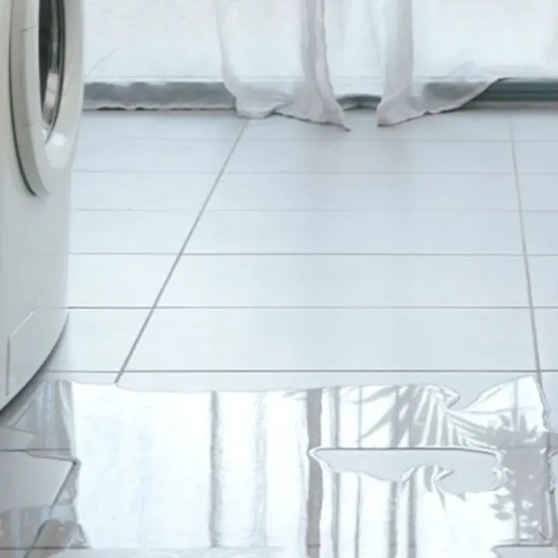 Appliance Leak Cleanup in Liberty, IN
