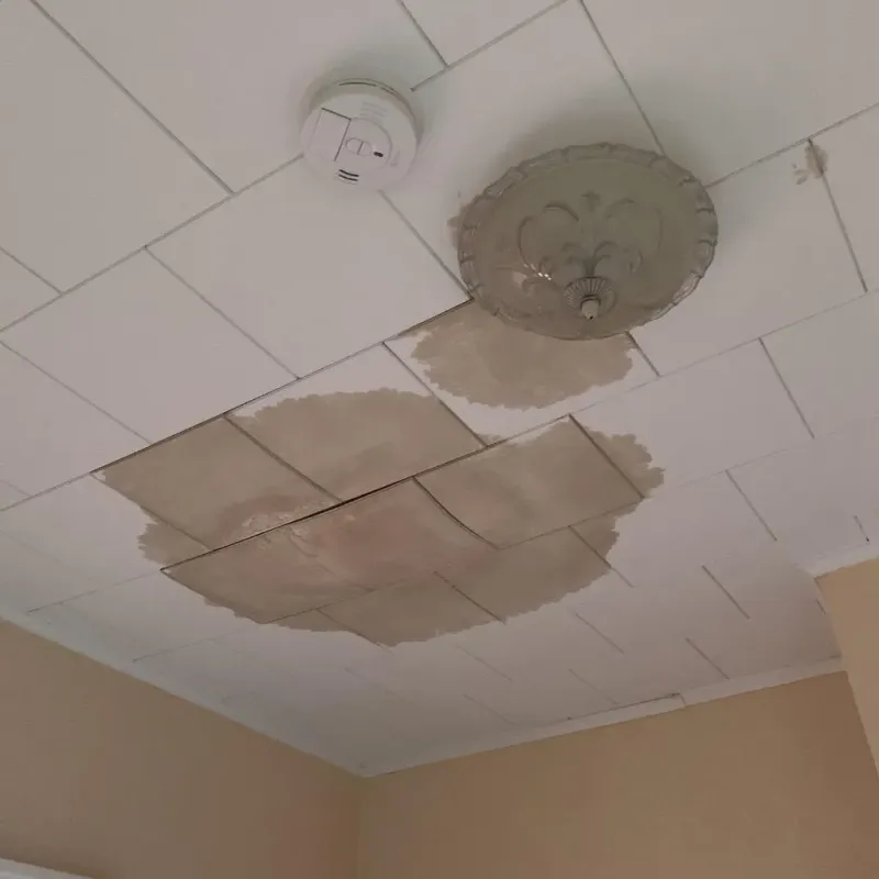 Ceiling Water Damage Repair in Liberty, IN