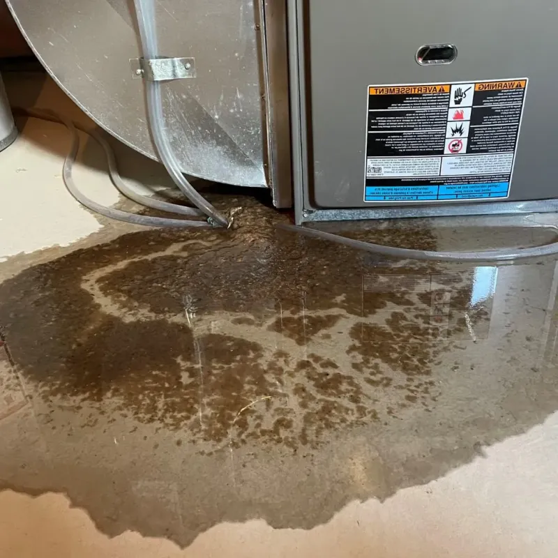 Pipe Burst and Leak Restoration in Liberty, IN