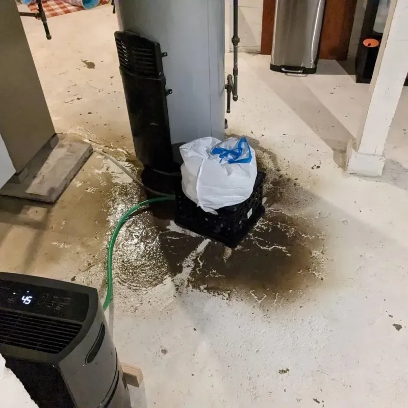 Sewage Backup Cleanup Service in Liberty, IN